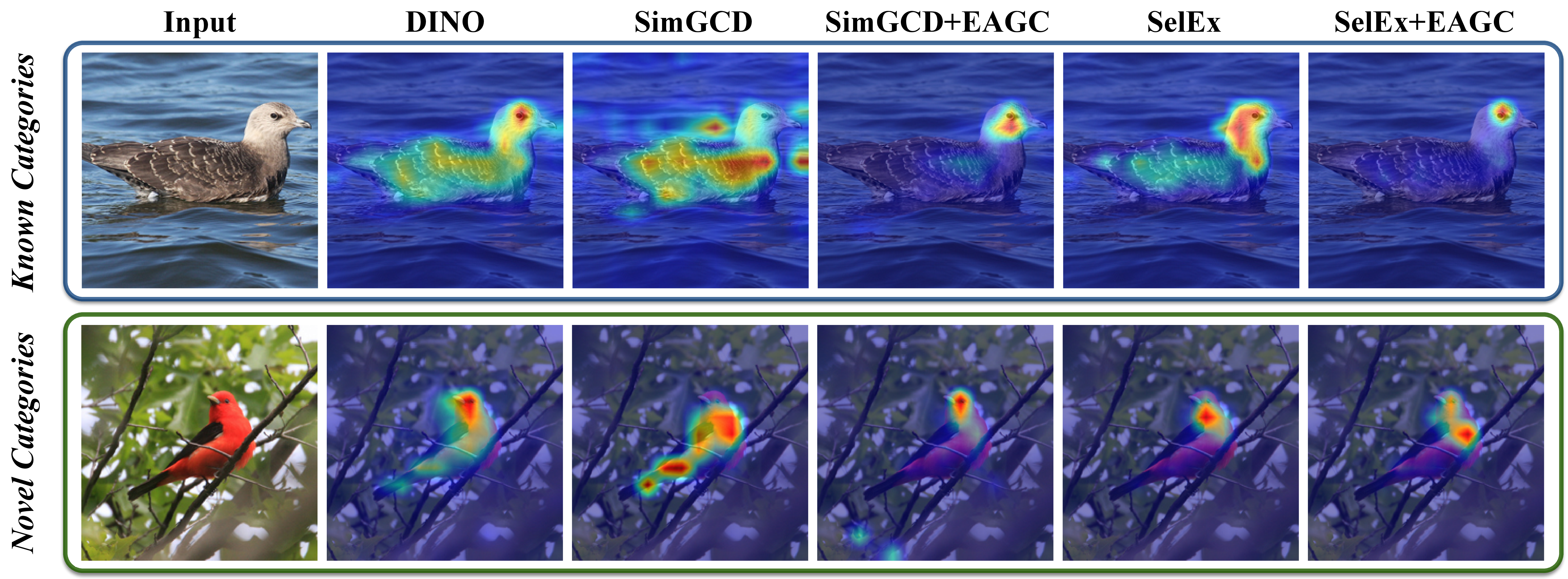 CUB attention map visualization for baselines and EAGC-integrated baselines